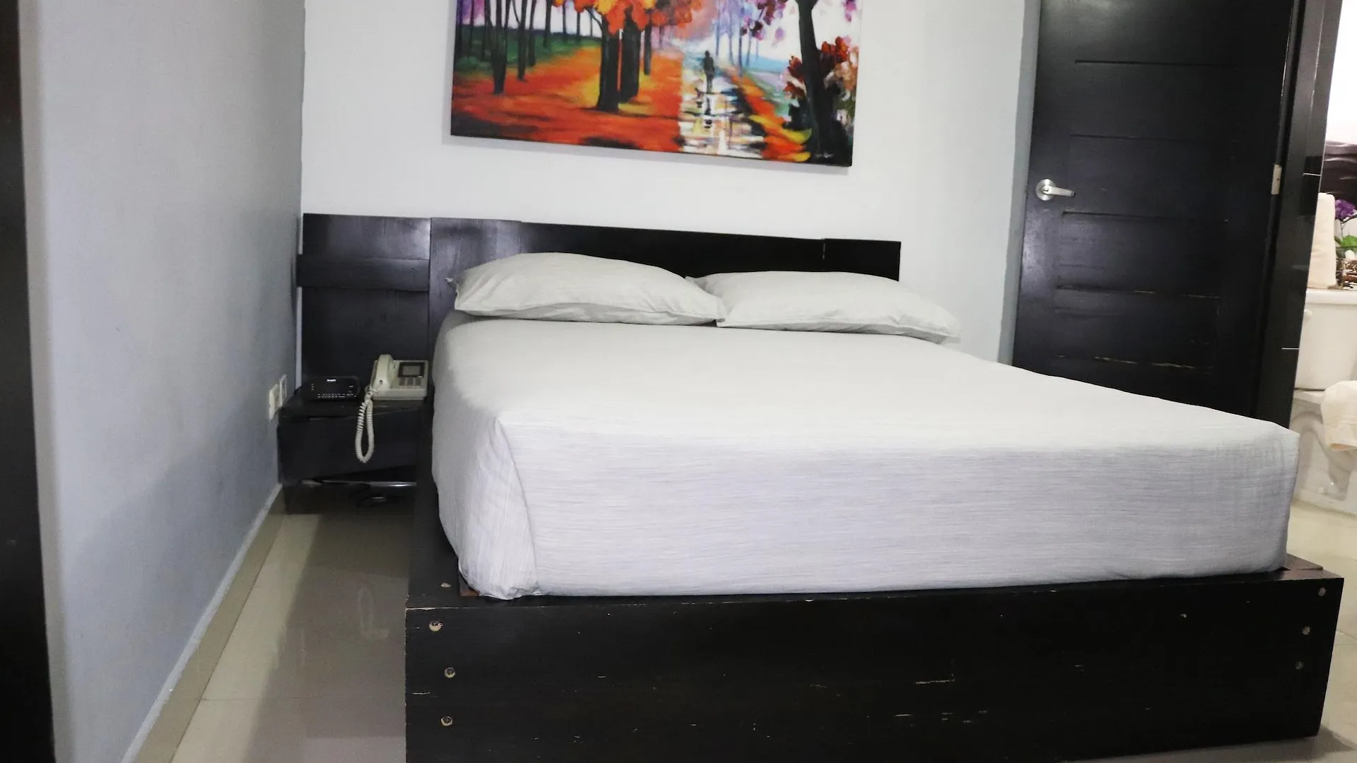 Hotel Merey Saint-Domingue