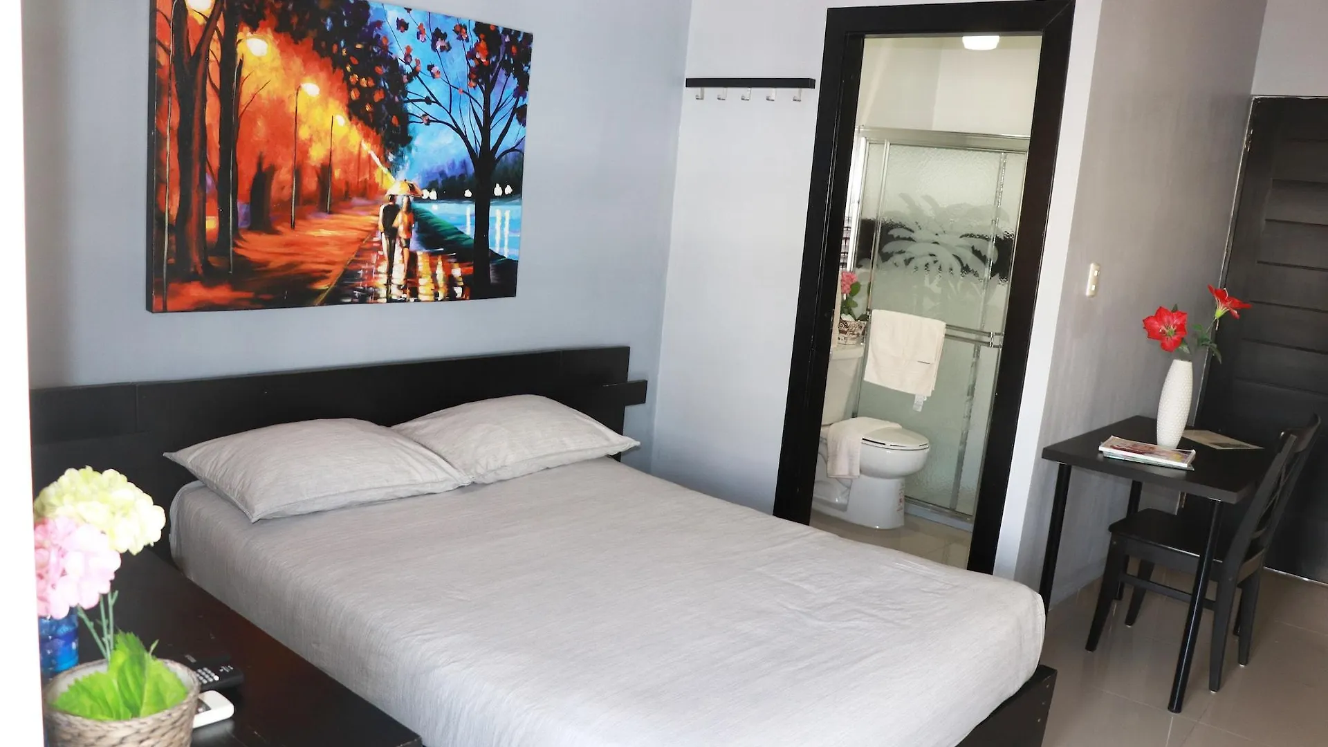 Hotel Merey Saint-Domingue